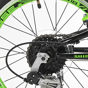 18" Avigo TRX18 Black Green, Replacement 6 Speed Freewheel