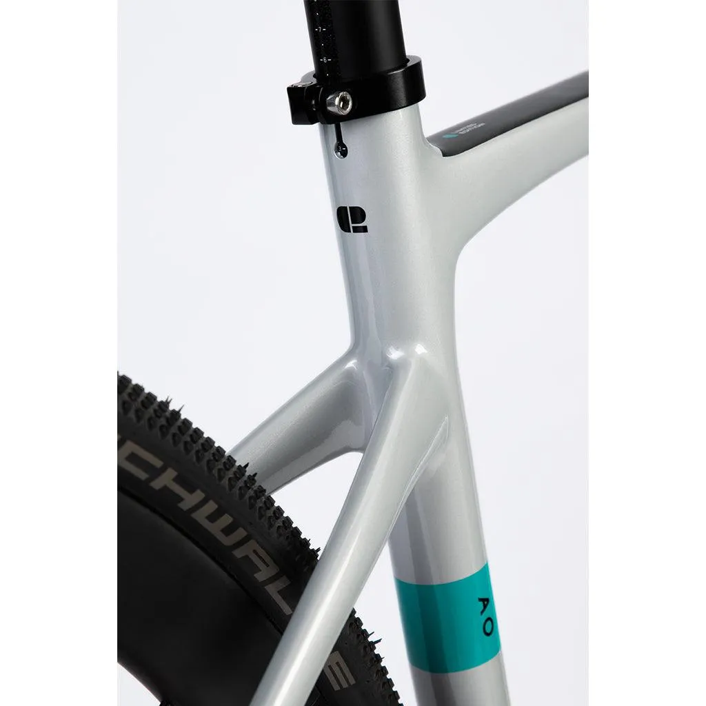 Chapter 2 AO Disc Brake Frameset (Silver Matt)