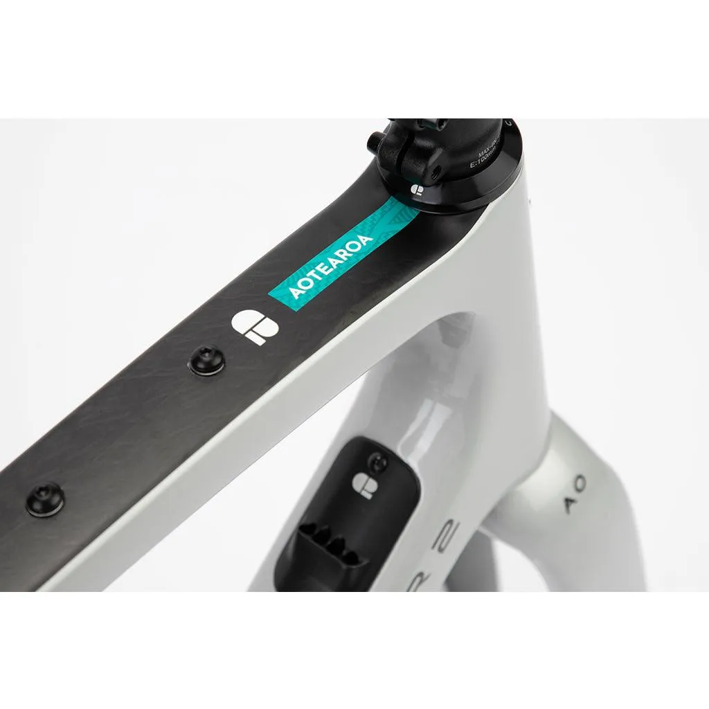 Chapter 2 AO Disc Brake Frameset (Silver Matt)