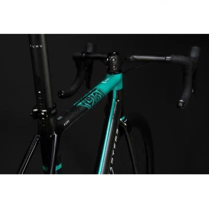 Chapter 2 Huru Disc Brake Frameset (Aqua UD)