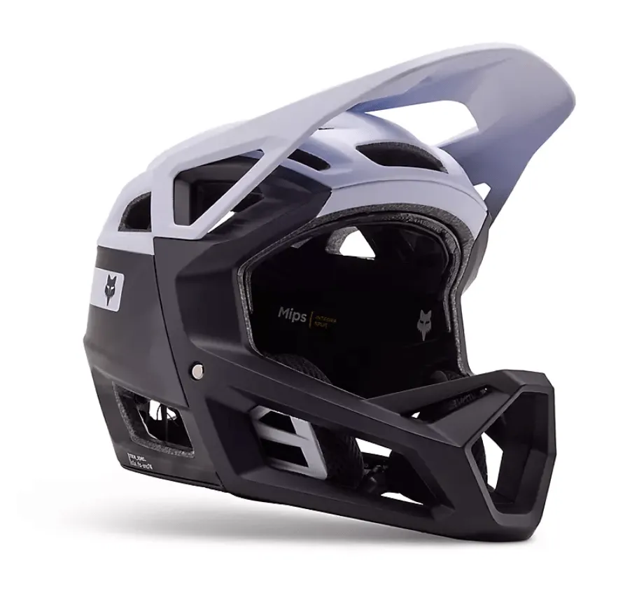 Fox Proframe RS Helmet