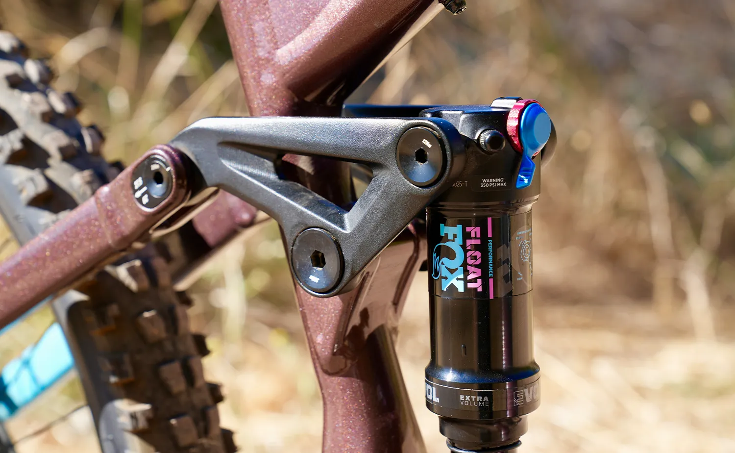 Marin Alpine Trail 1 - Mountain Bike