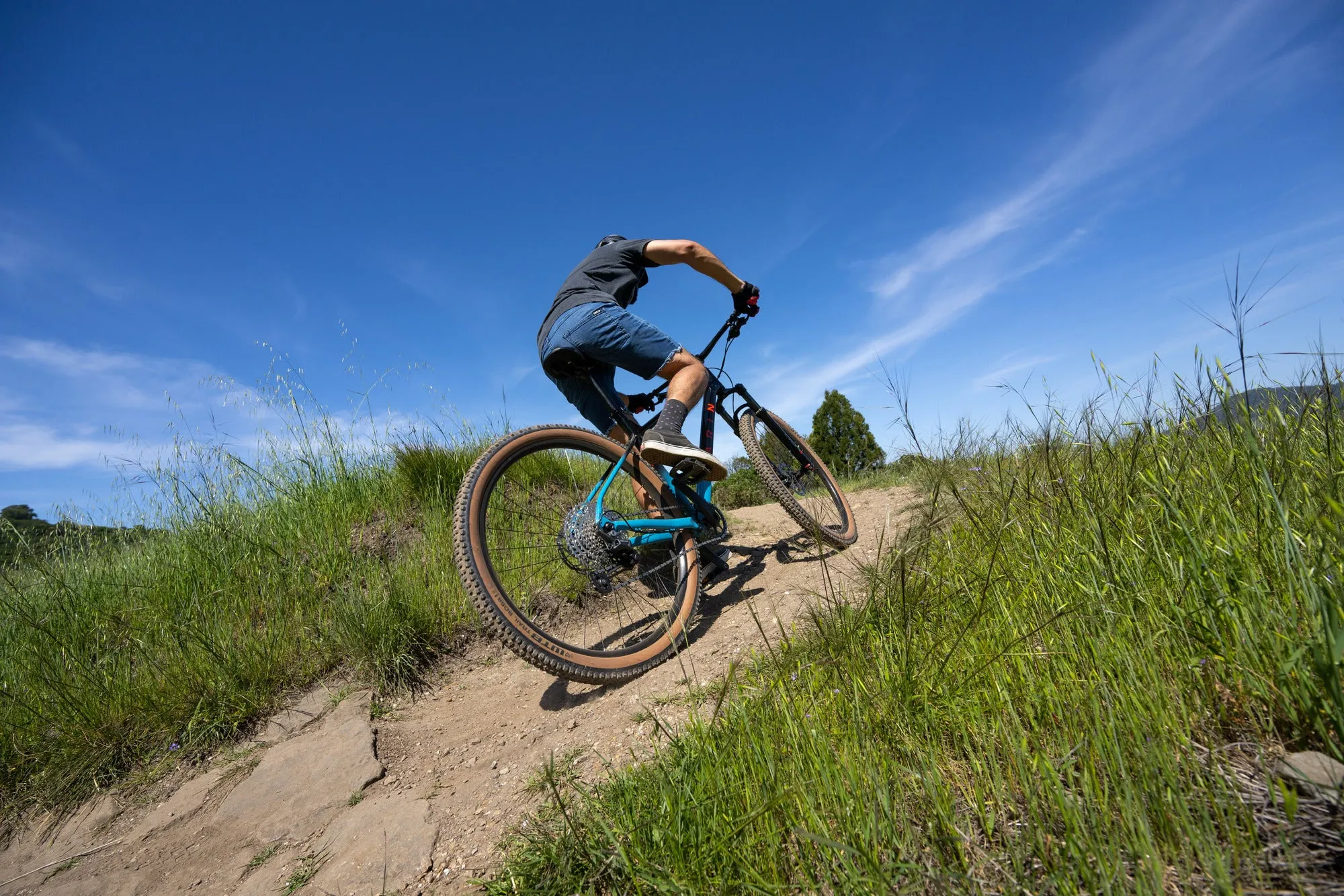 Marin Bobcat Trail 5 - Mountain Bike