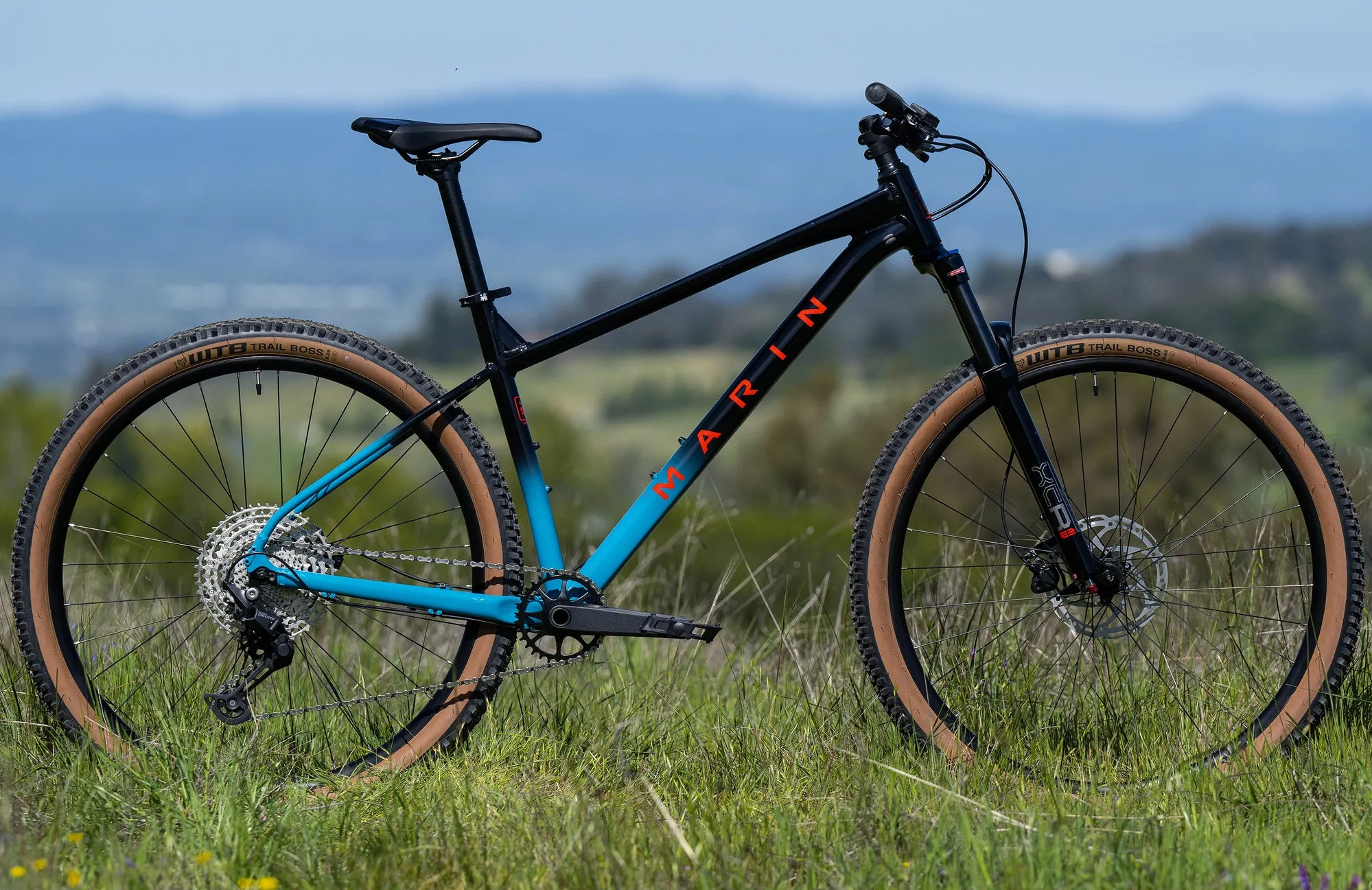 Marin Bobcat Trail 5 - Mountain Bike
