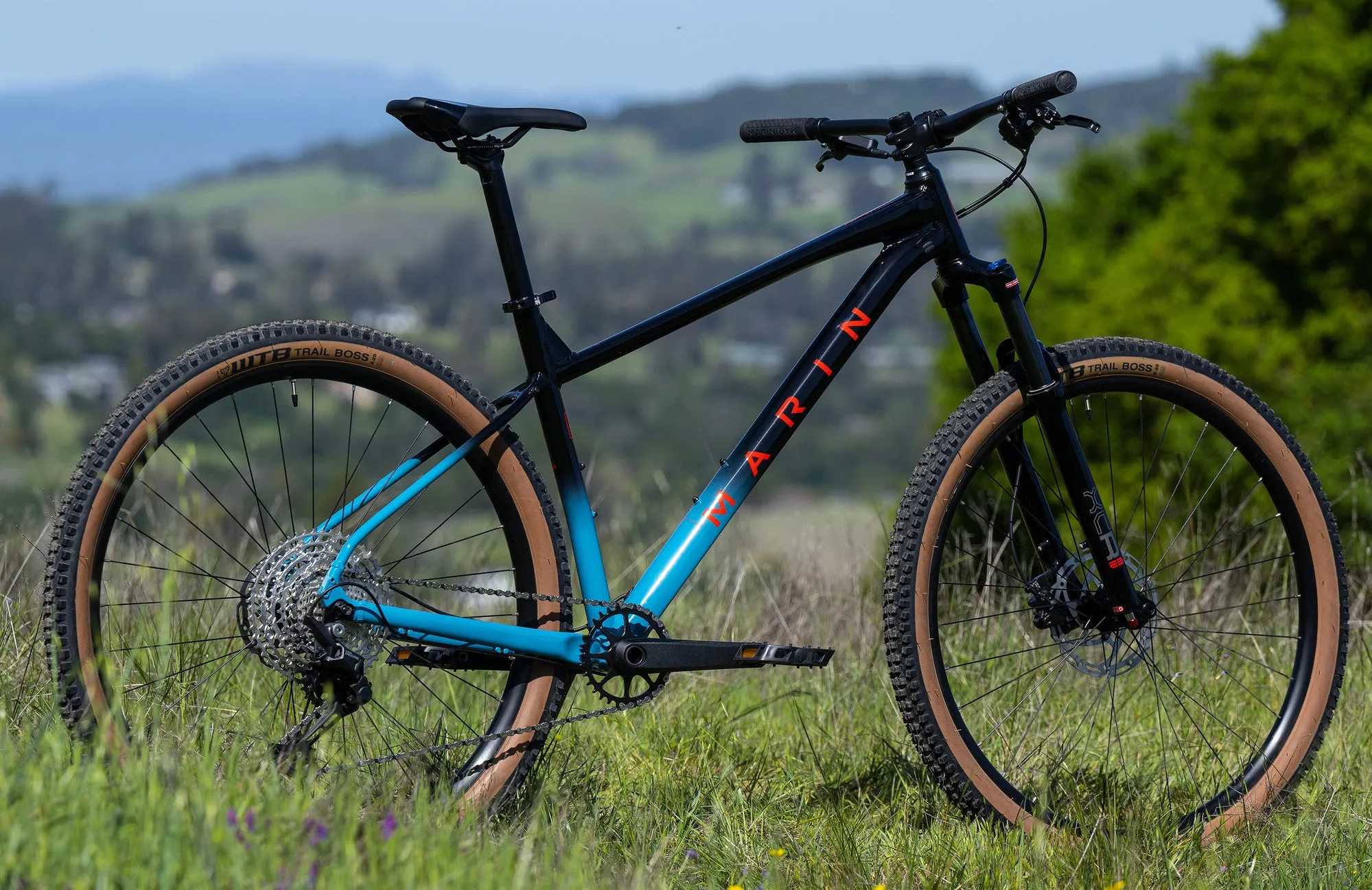 Marin Bobcat Trail 5 - Mountain Bike