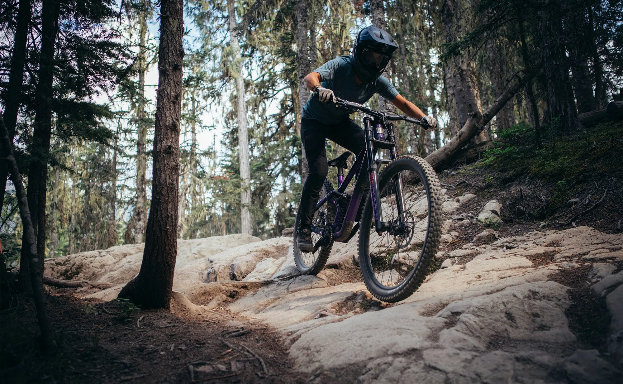Marin Quake - Park/Freeride/Downhill Bike