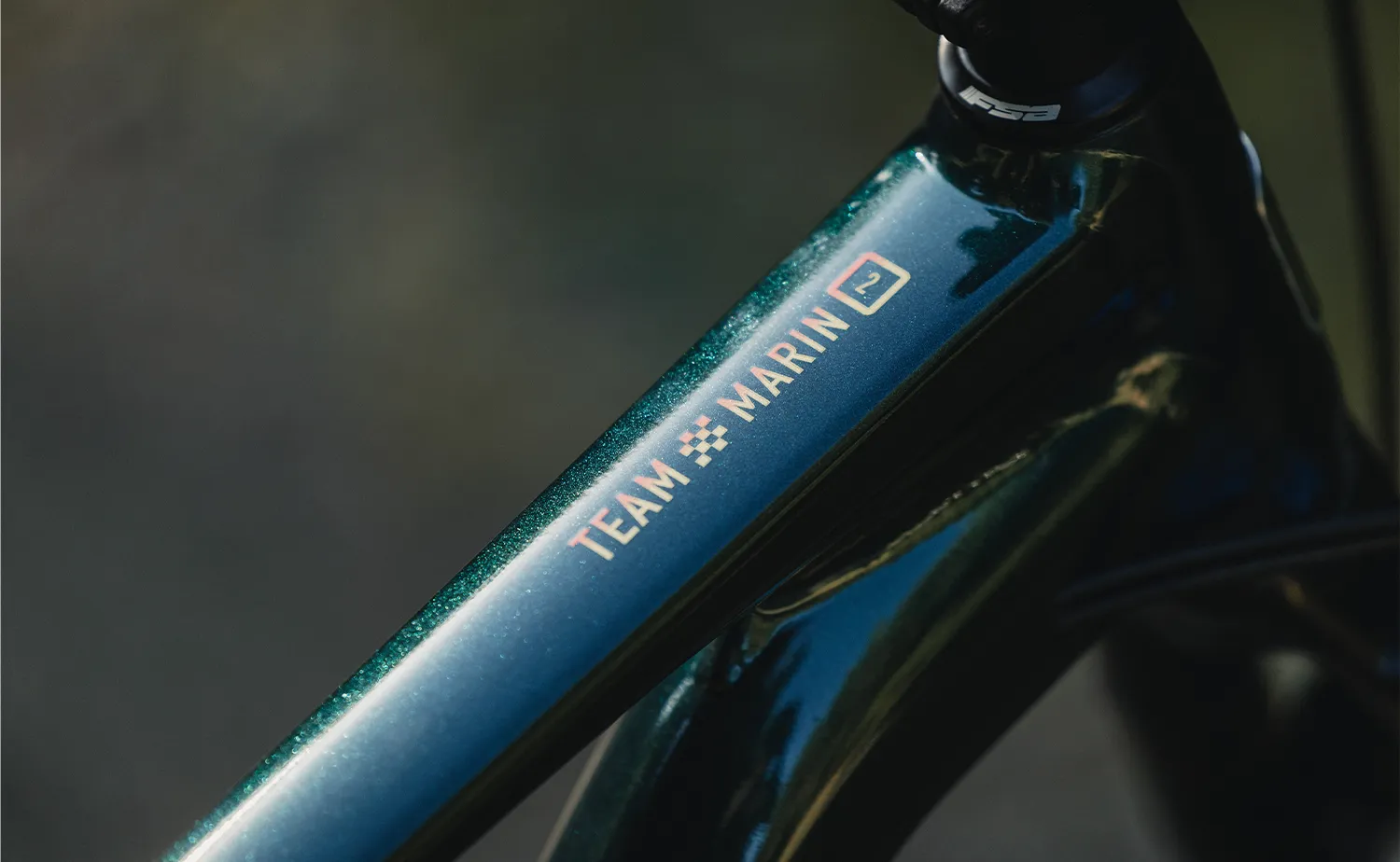 Marin Team 2 - Mountain Bike