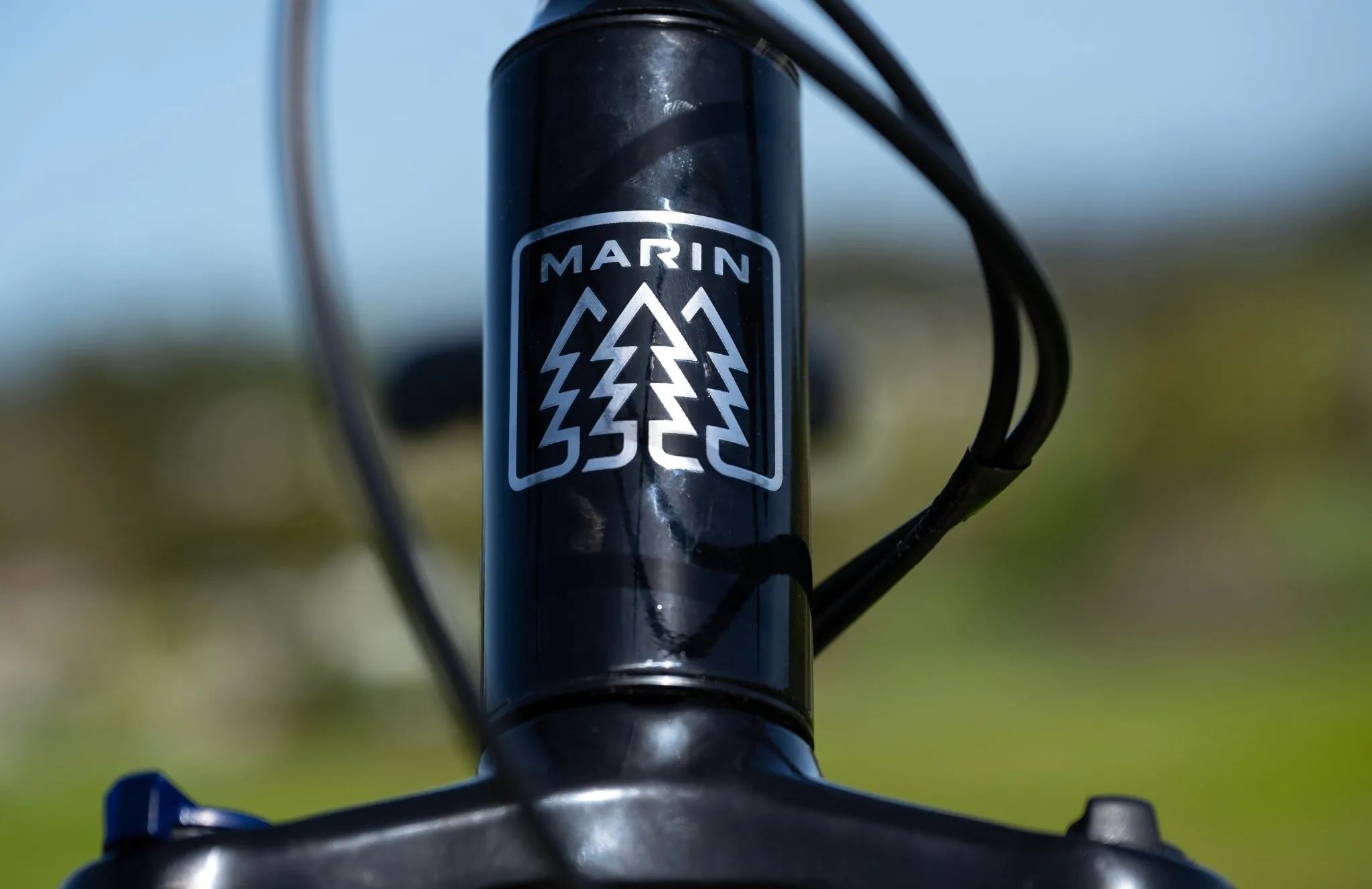 Marin Wildcat Trail 3 - Women's Mountain Bike