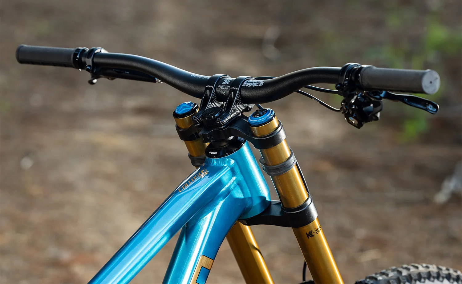 Polygon Collosus DH9 - Downhill Bike