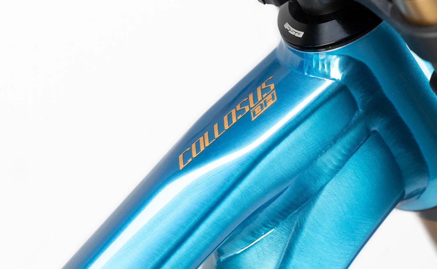 Polygon Collosus DH9 - Downhill Bike