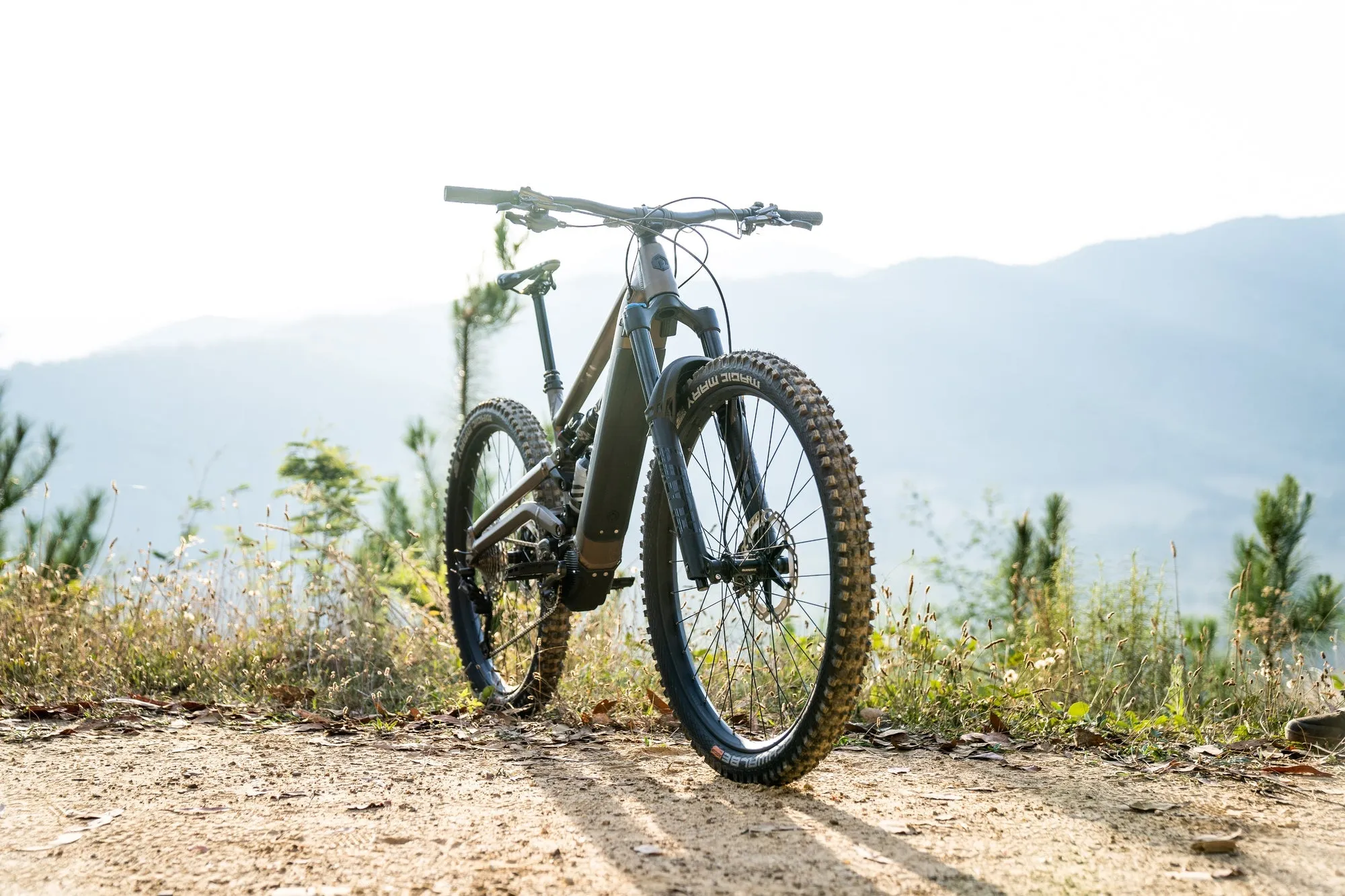 Polygon Collosus N8E - E-Mountain Bike