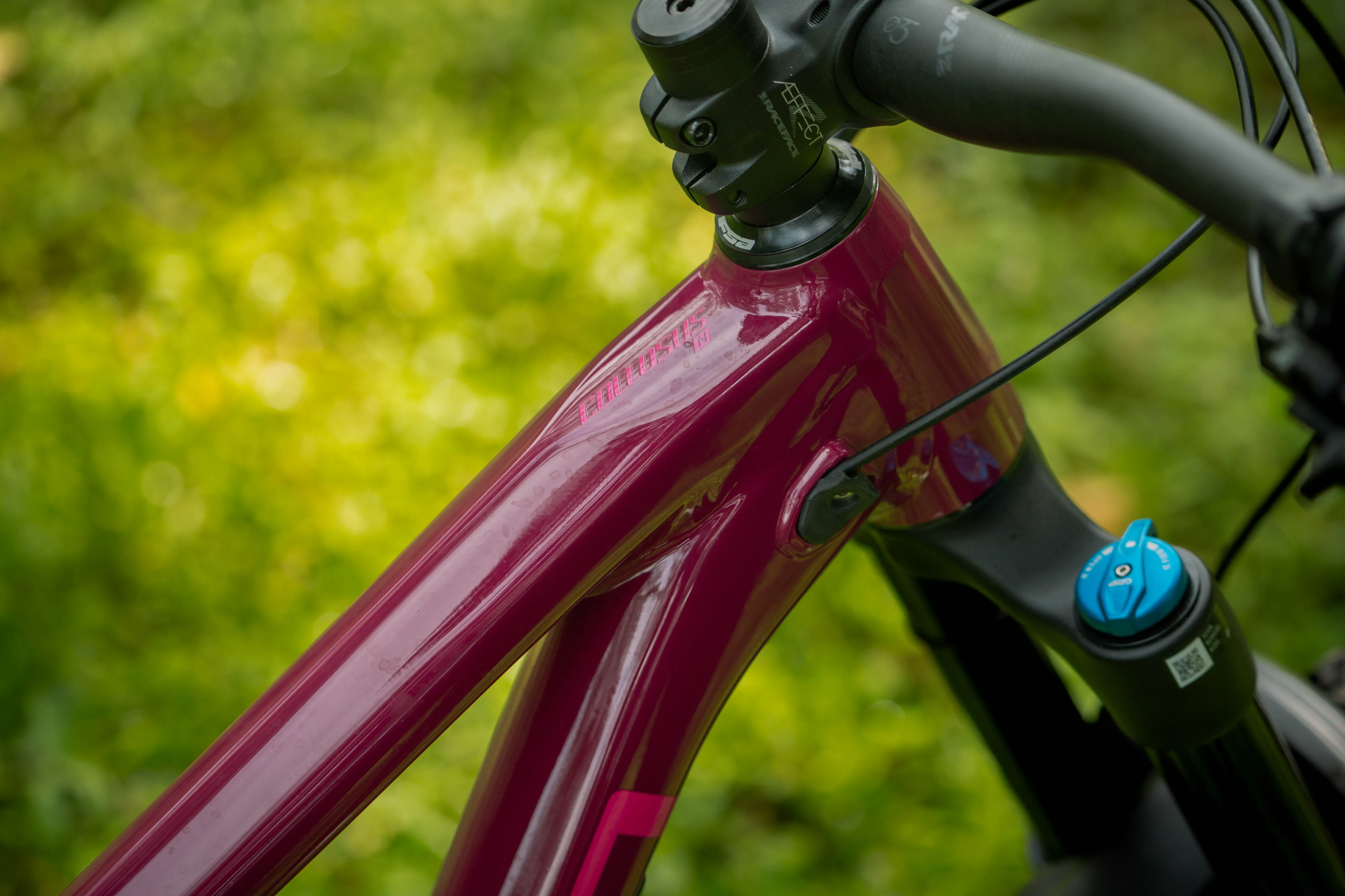 Polygon Collosus N9 - Enduro Mountain Bike [New]