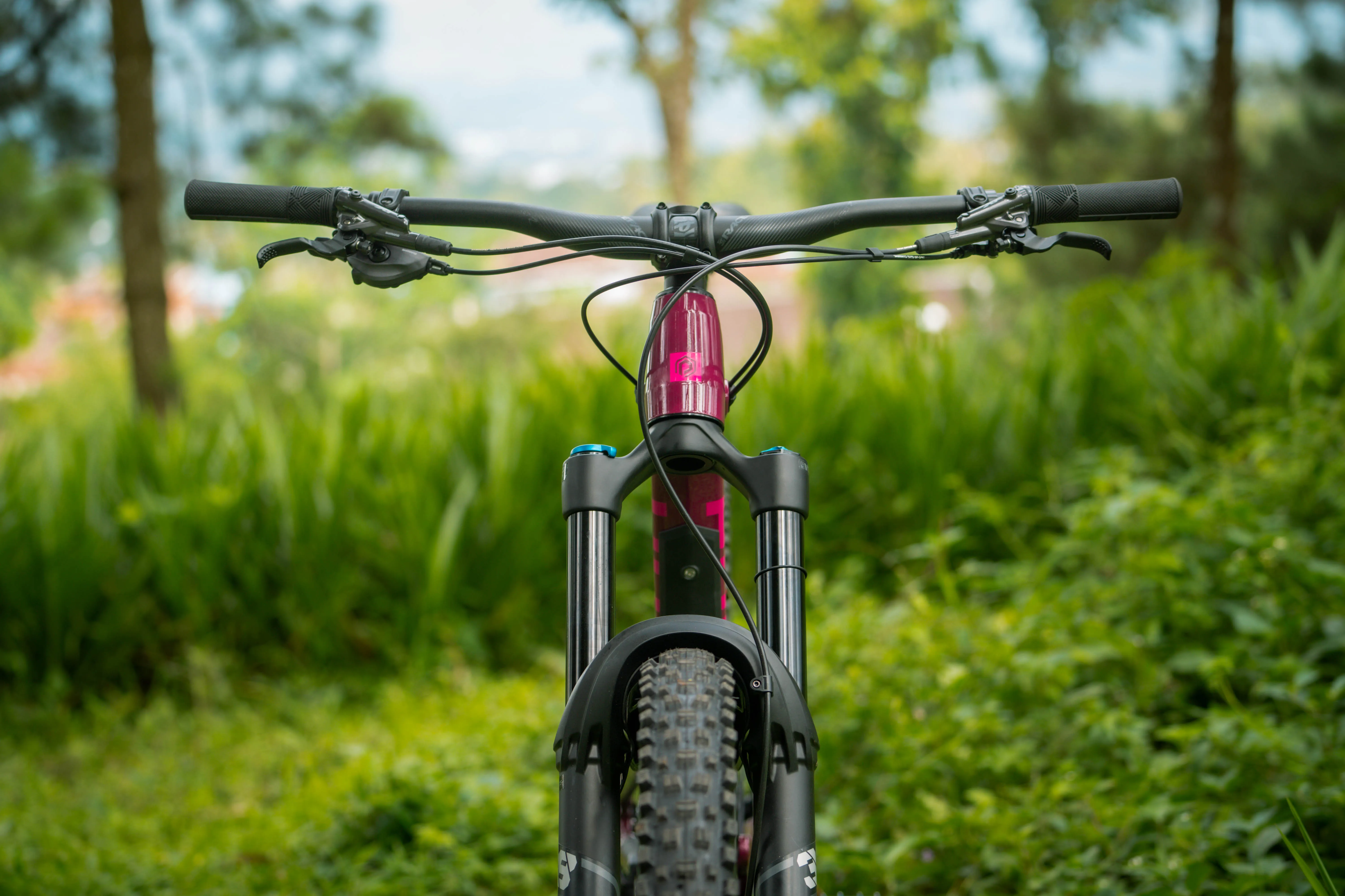 Polygon Collosus N9 - Enduro Mountain Bike [New]