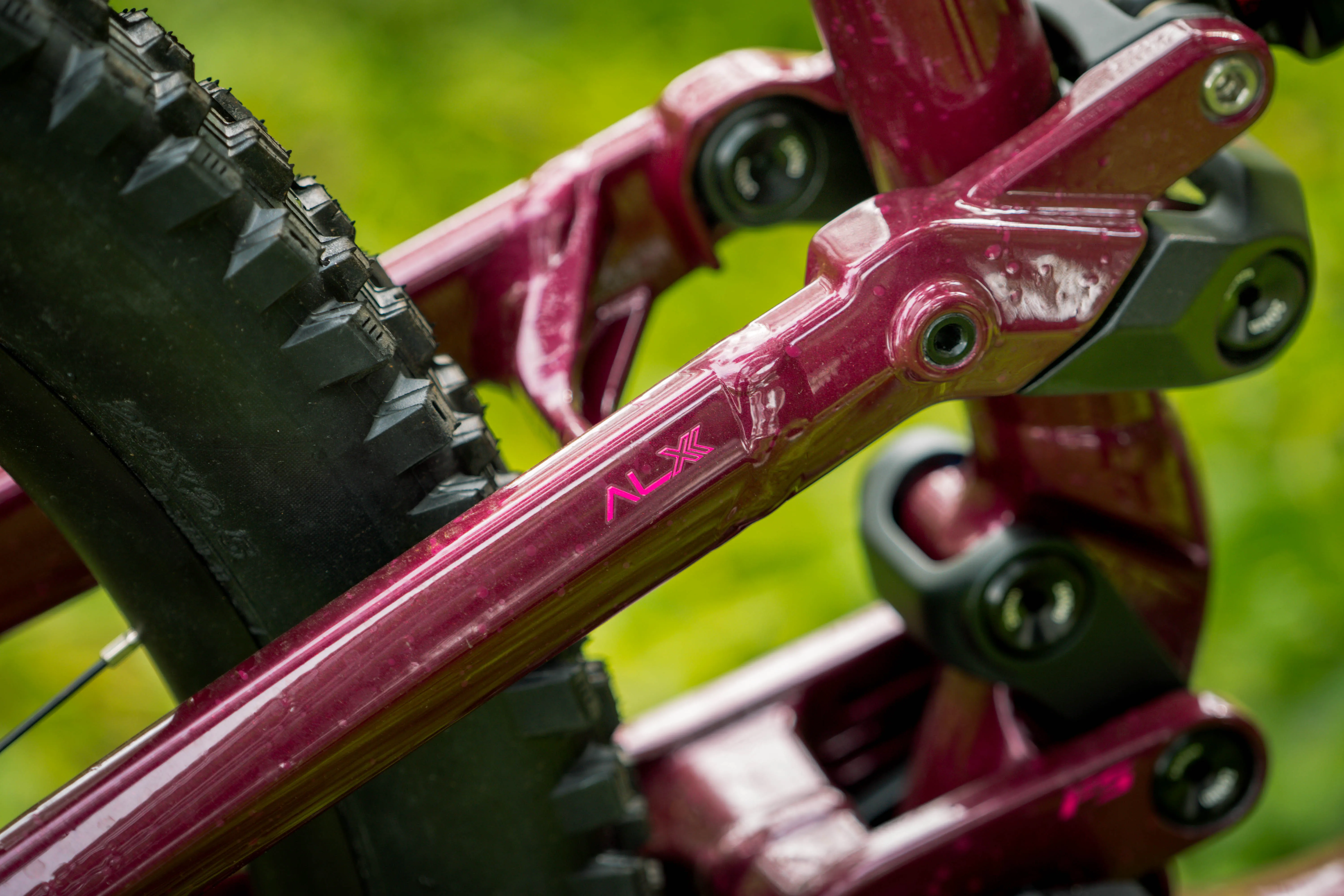 Polygon Collosus N9 - Enduro Mountain Bike [New]