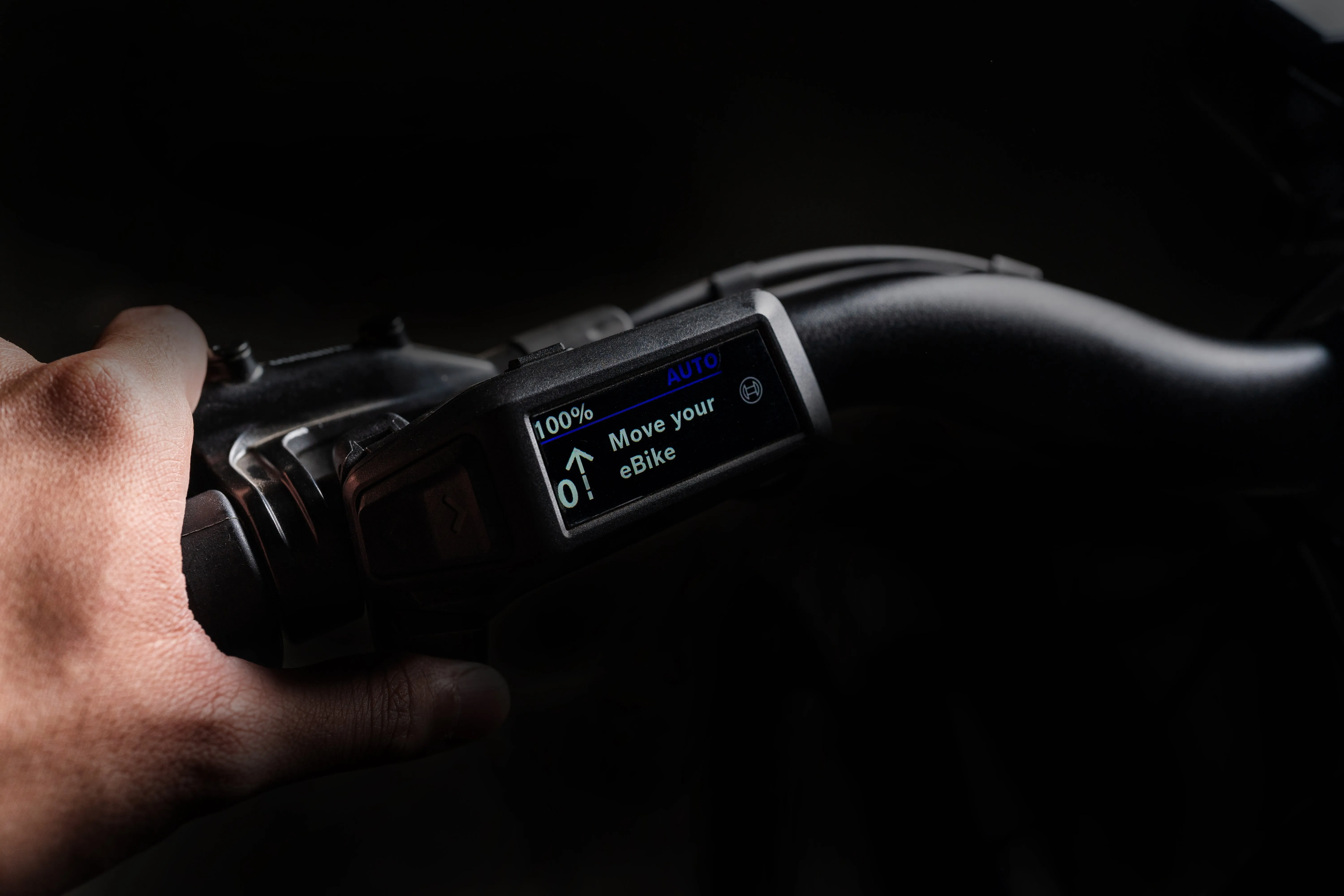 Polygon Kalosi Lanes Prime - Bosch Urban E-Bike