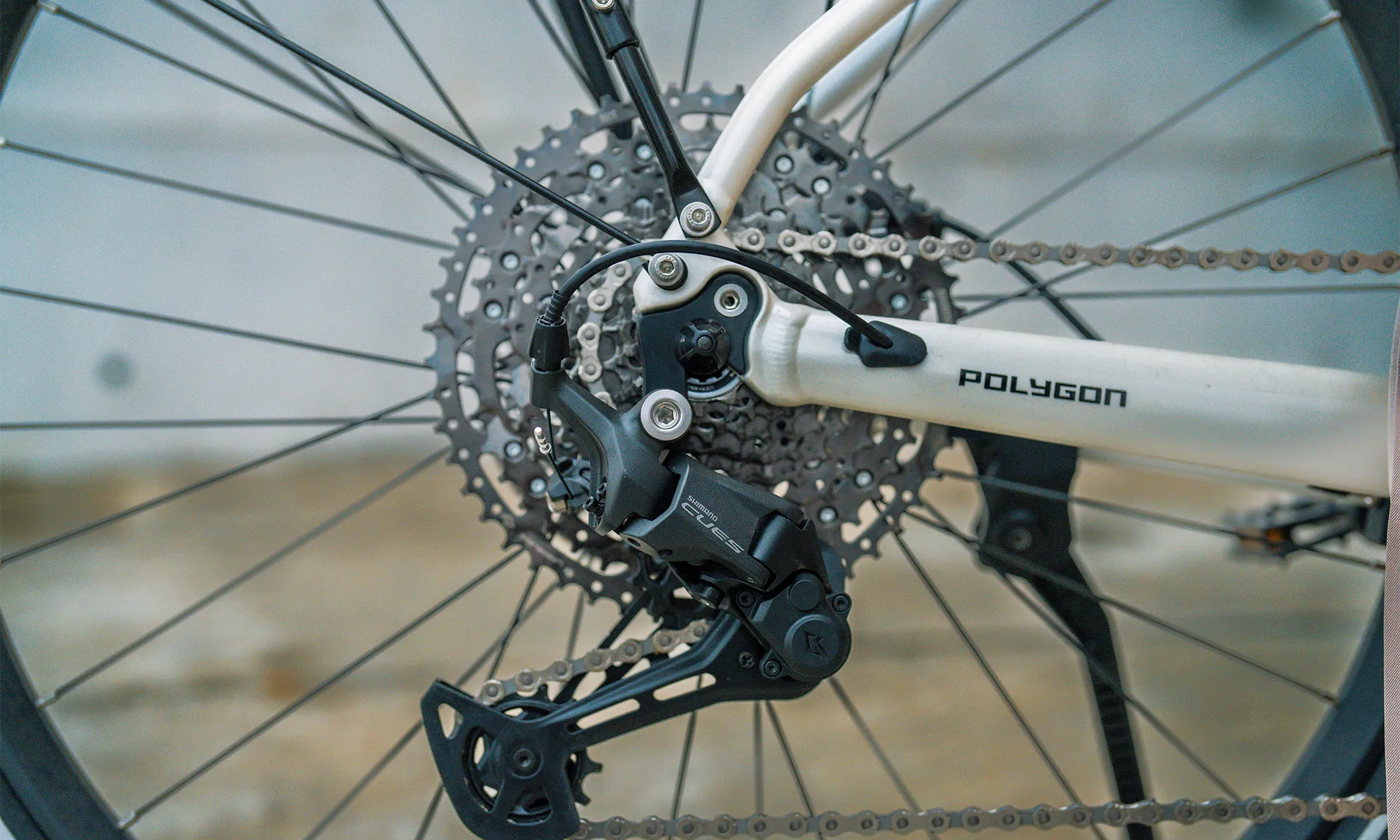 Polygon Kalosi Lanes Prime - Bosch Urban E-Bike