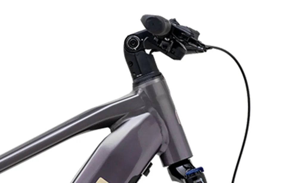 Polygon Kalosi Miles - Urban eBike