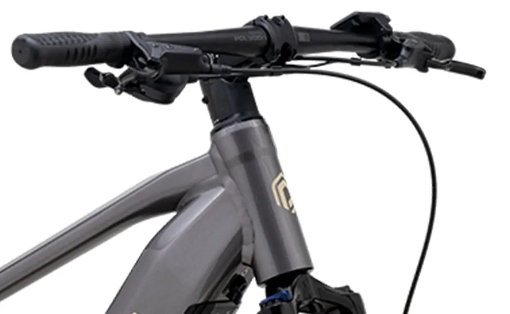 Polygon Kalosi Miles - Urban eBike
