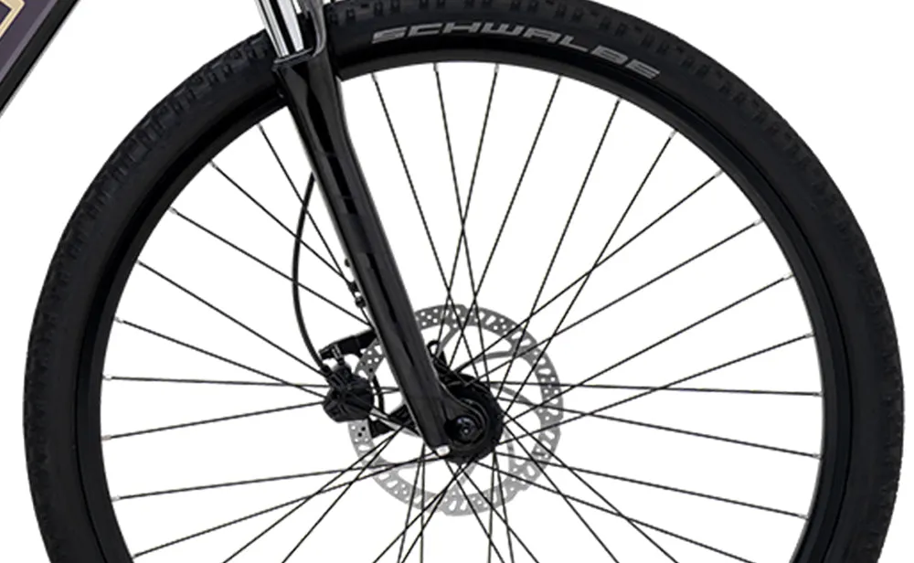 Polygon Kalosi Miles - Urban eBike