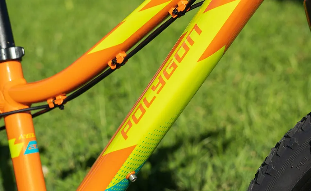 Polygon Relic 20 - Kids Mountain Bike