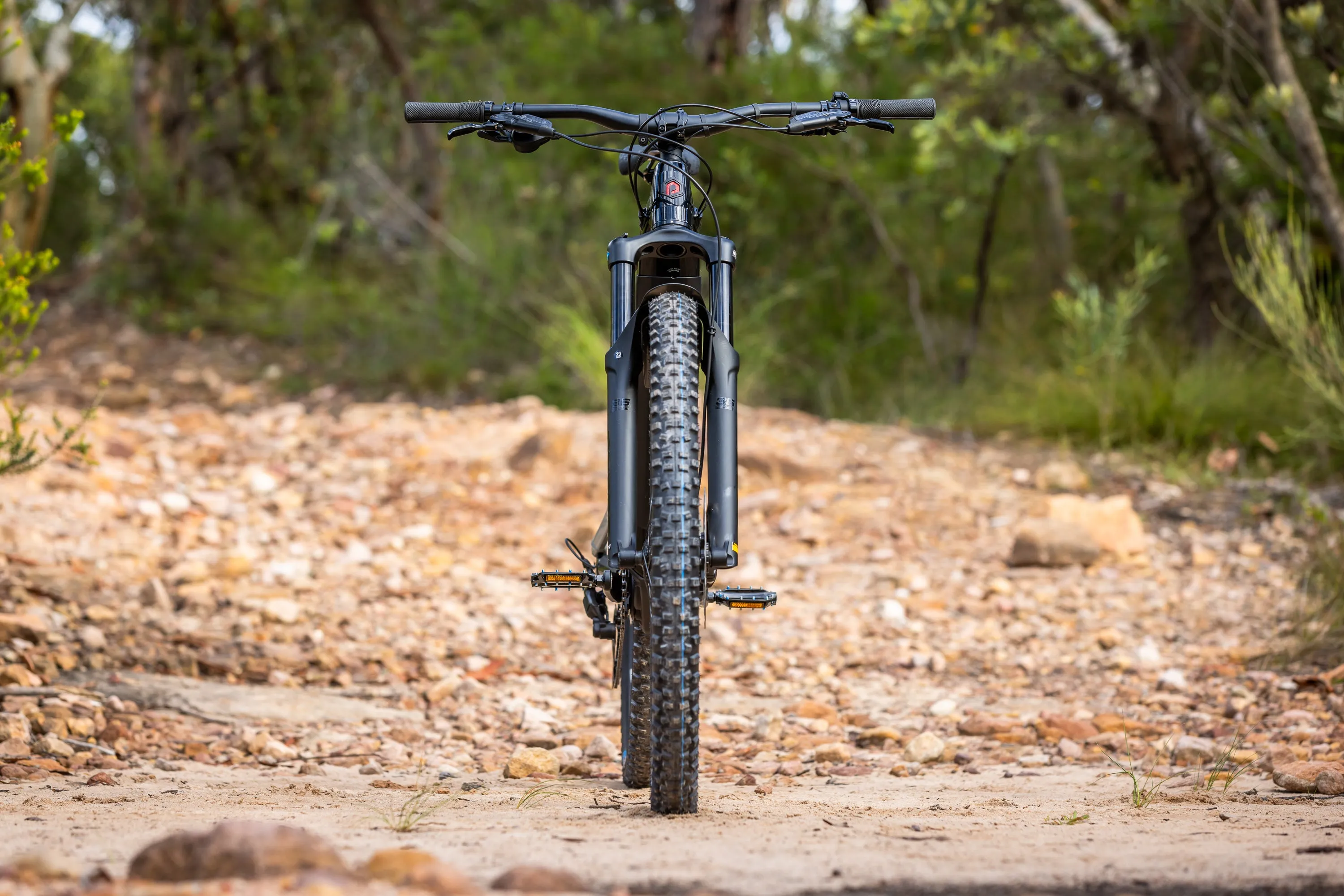 Polygon Siskiu T6E - E-Mountain Bike
