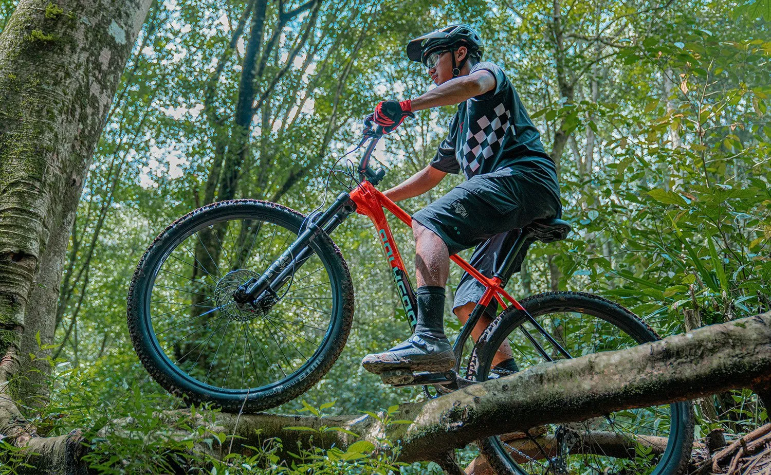 Polygon Syncline C5 - Carbon Mountain Bike
