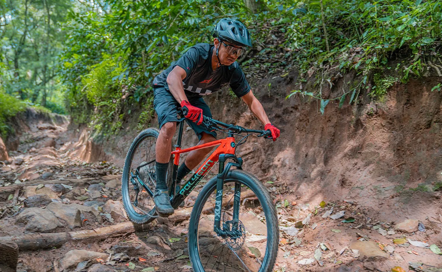 Polygon Syncline C5 - Carbon Mountain Bike