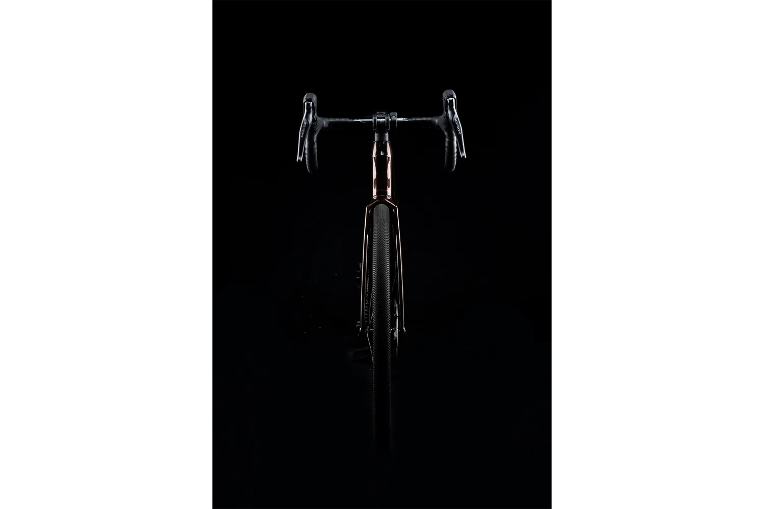 Polygon Tambora AE-N - Carbon Gravel eBike