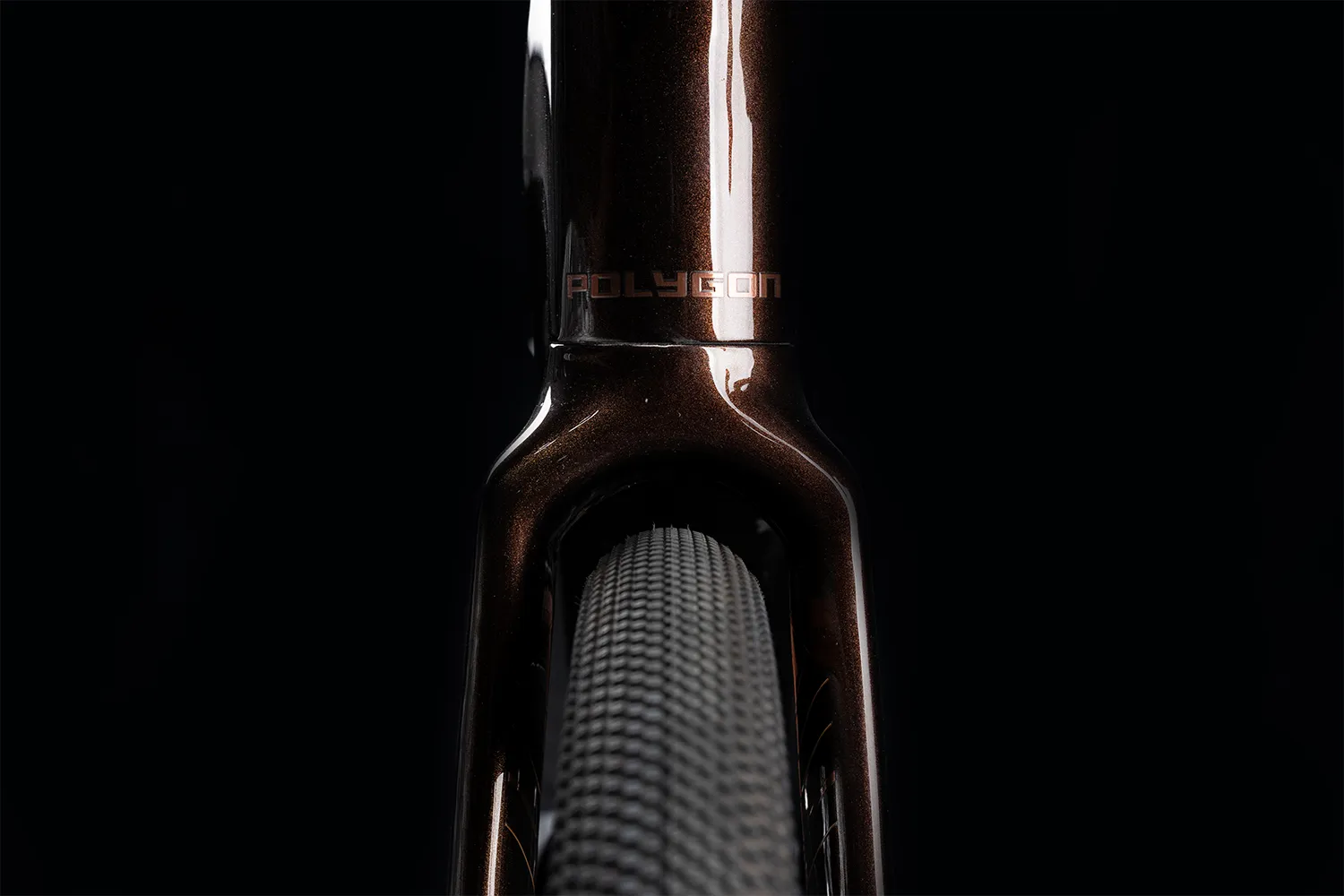 Polygon Tambora AE-N - Carbon Gravel eBike