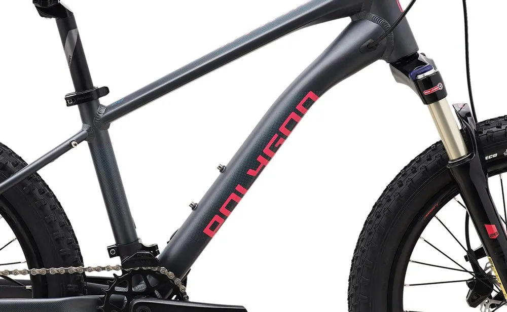 Polygon Xtrada 20 - Kids Mountain Bike
