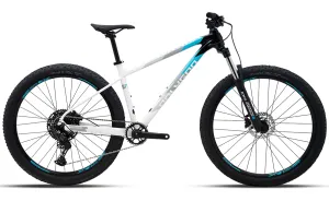 Polygon Xtrada 5 - Mountain Bike