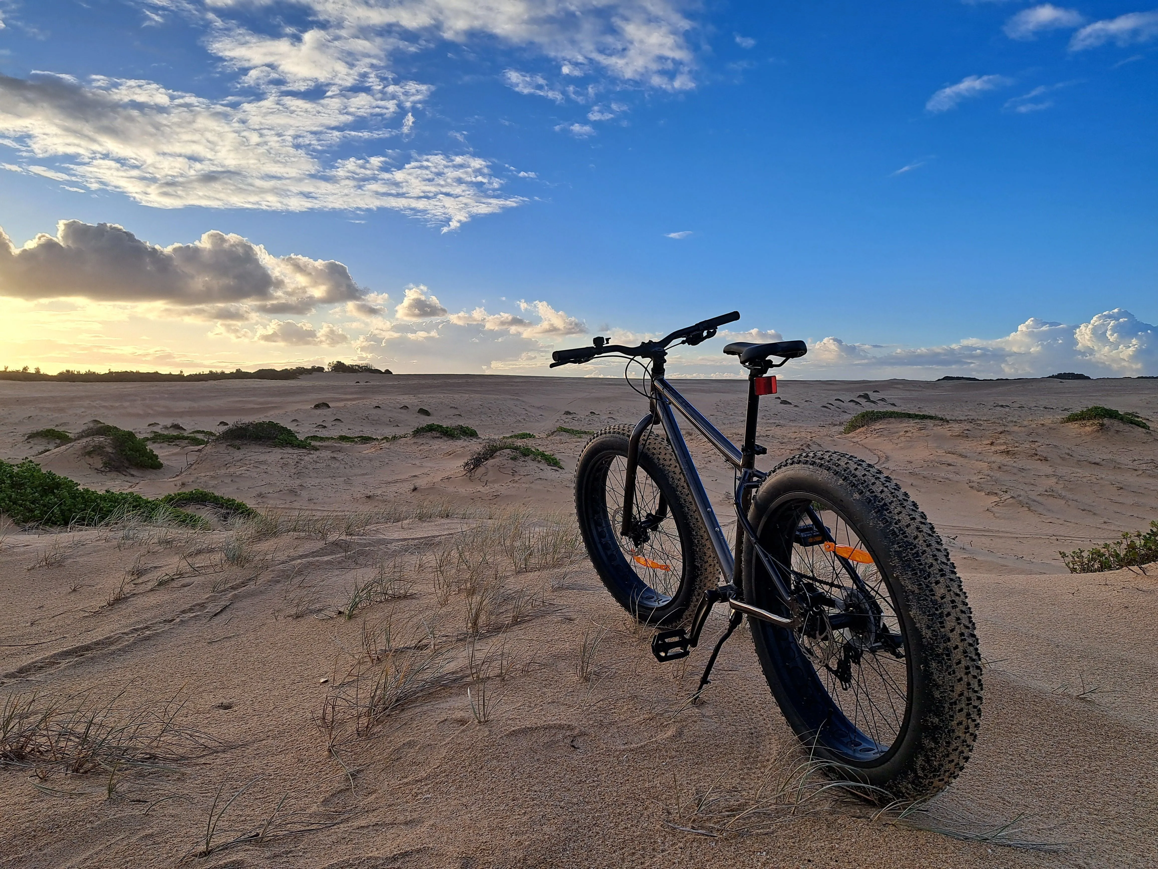 Reid Alpha Fat Bike