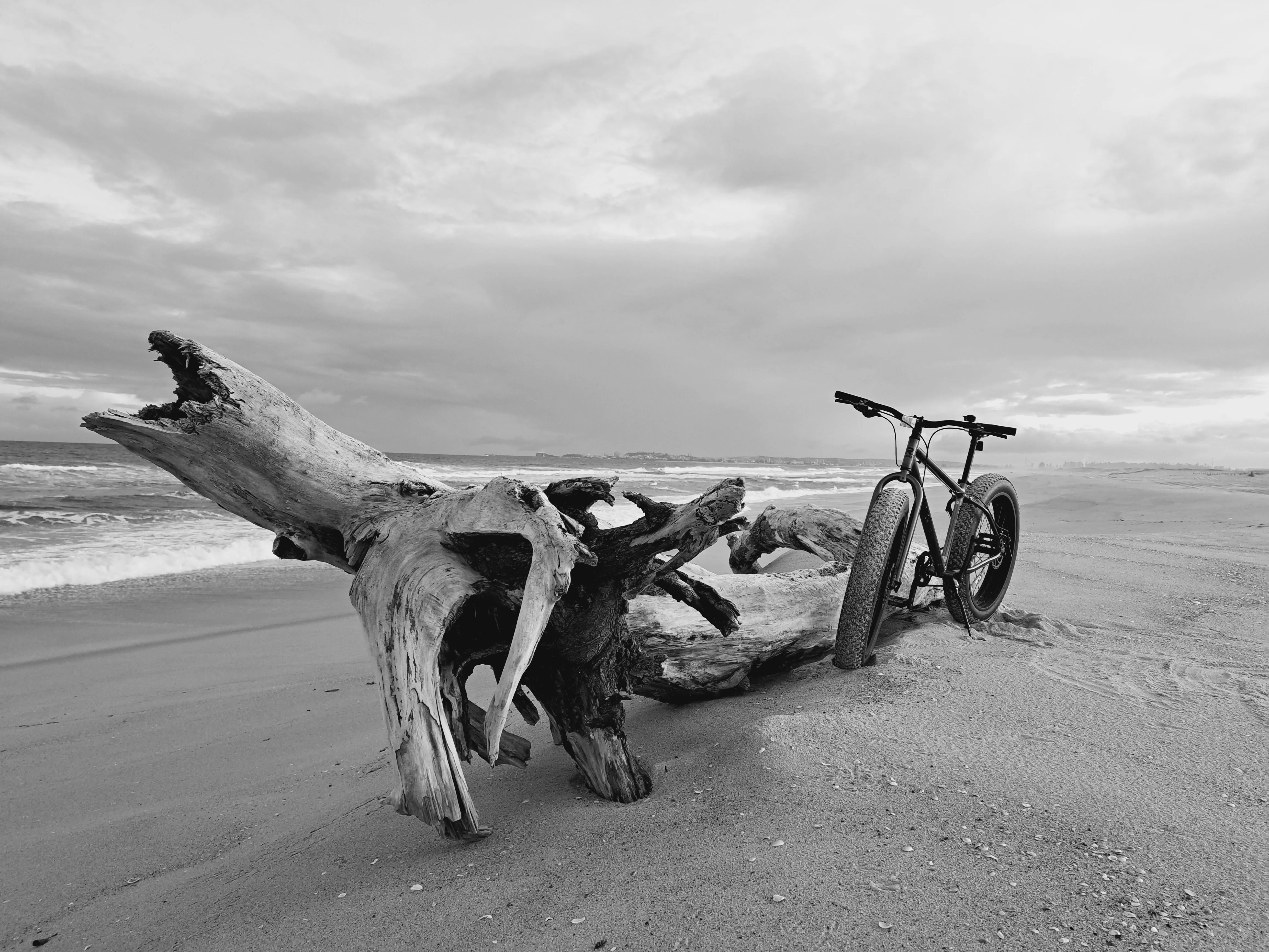 Reid Alpha Fat Bike