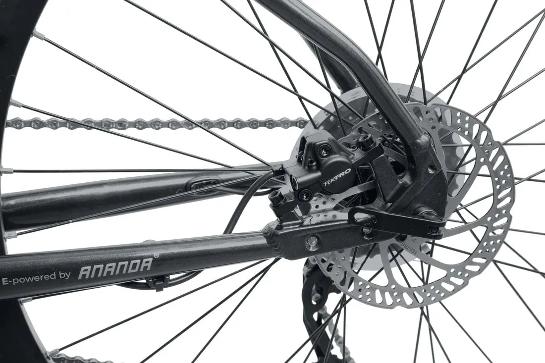 Reid - E-Trail 2.0 Mountain eBike