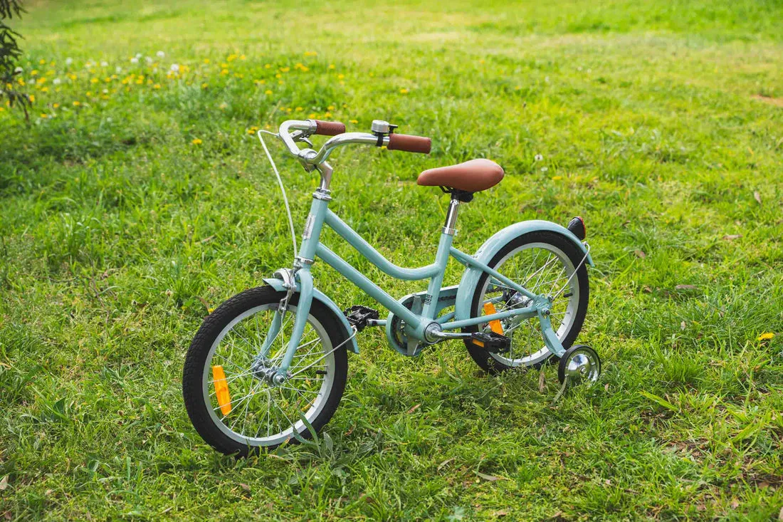 Reid - Girls Classic 20 inch Vintage Bike