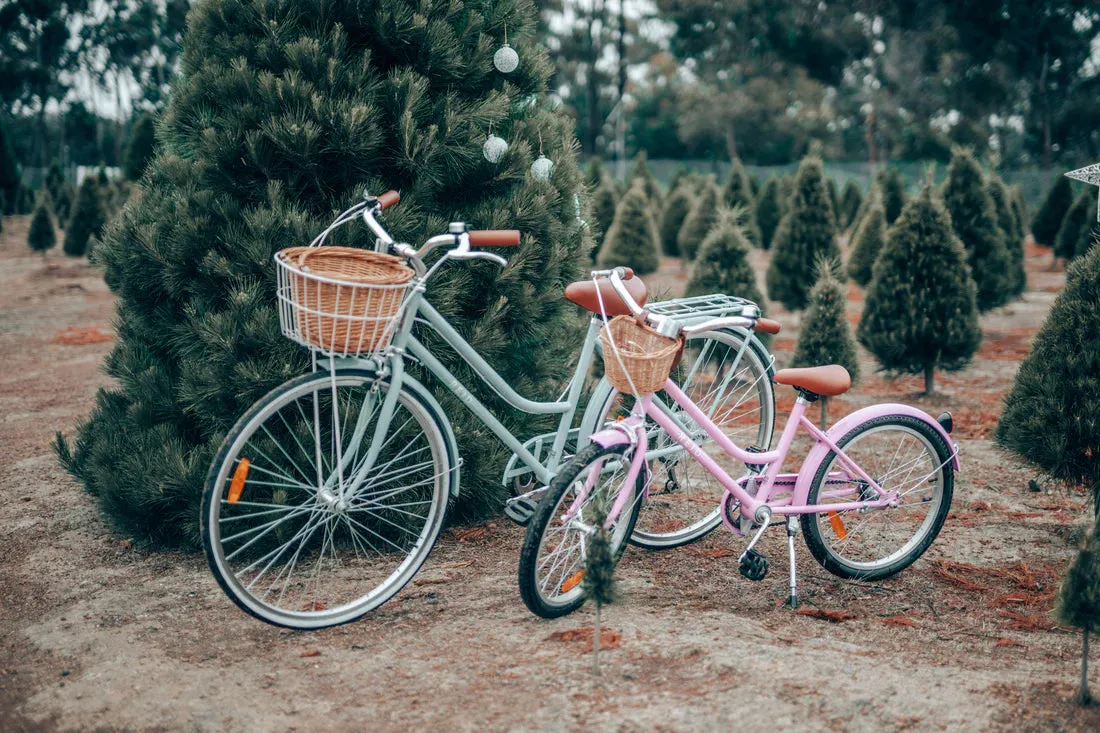 Reid - Girls Classic 20 inch Vintage Bike