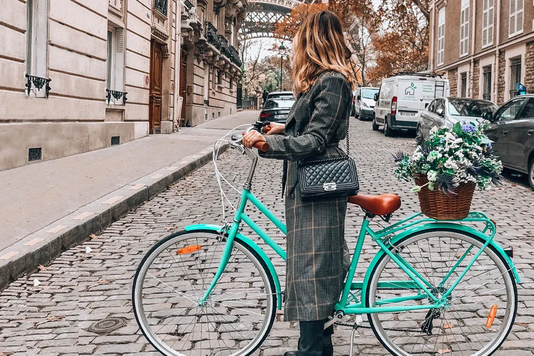 Reid - Ladies Classic Vintage Bike