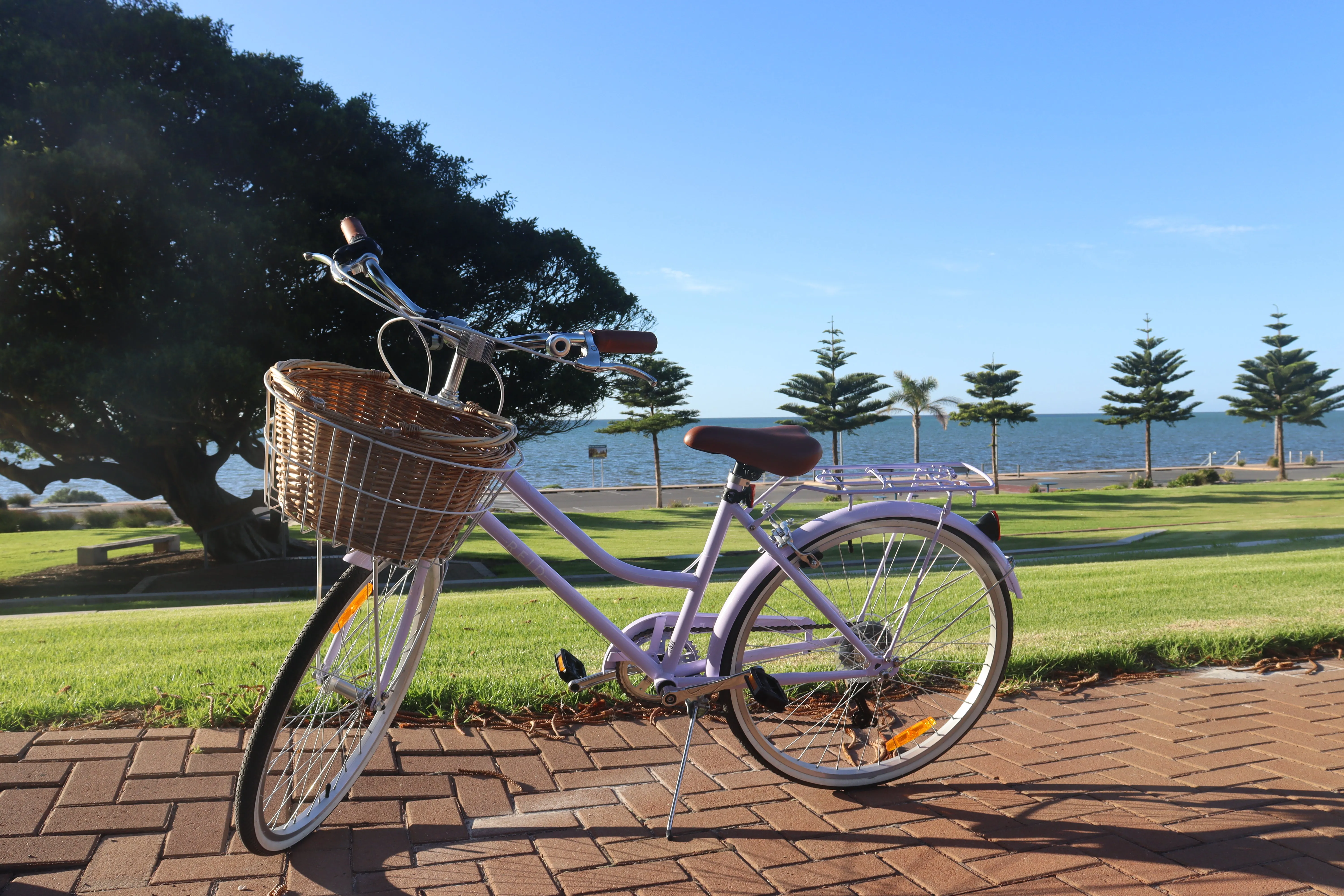 Reid - Ladies Petite 24-inch Vintage Bike