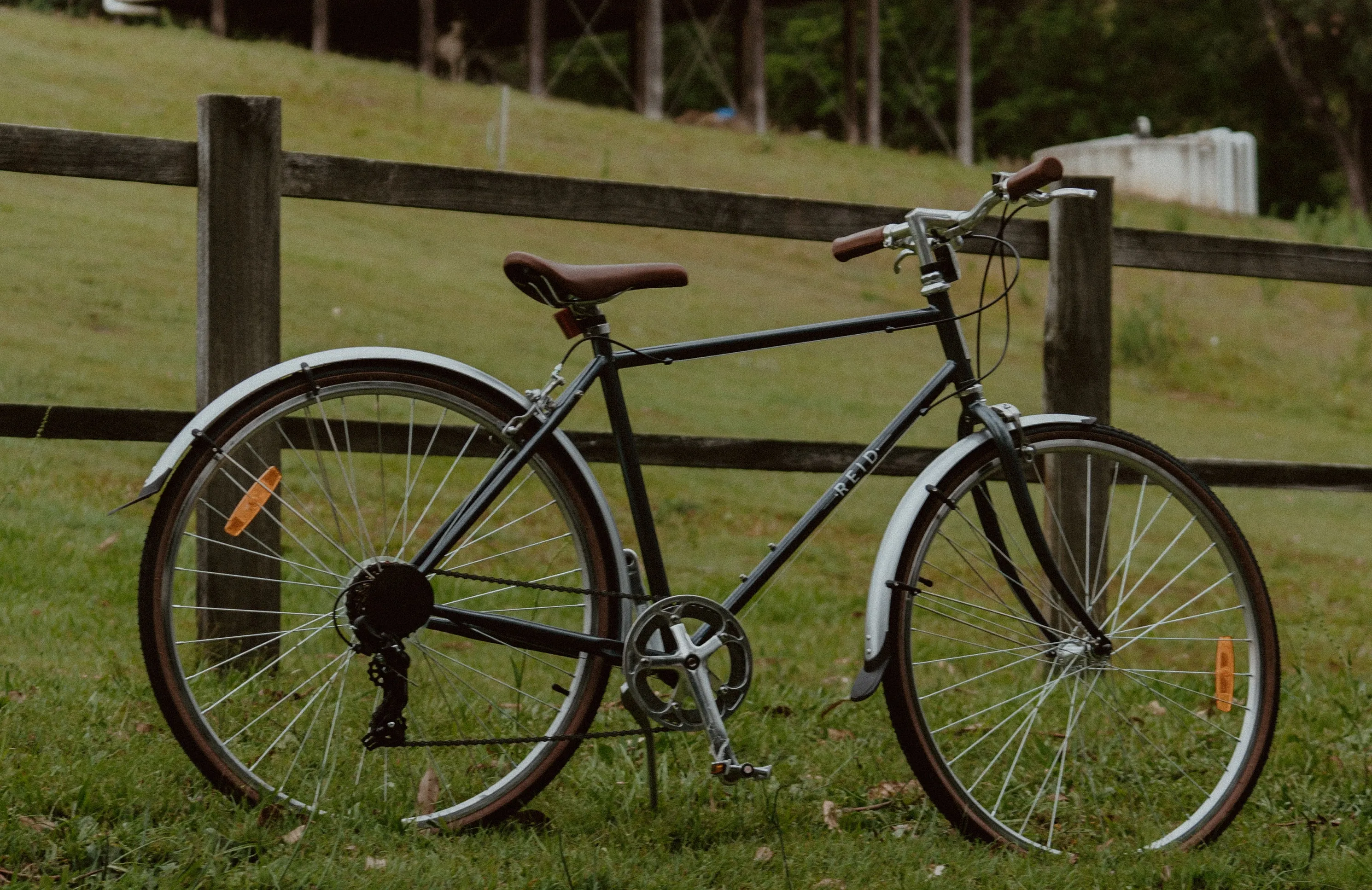 Reid - Roller Vintage Bike