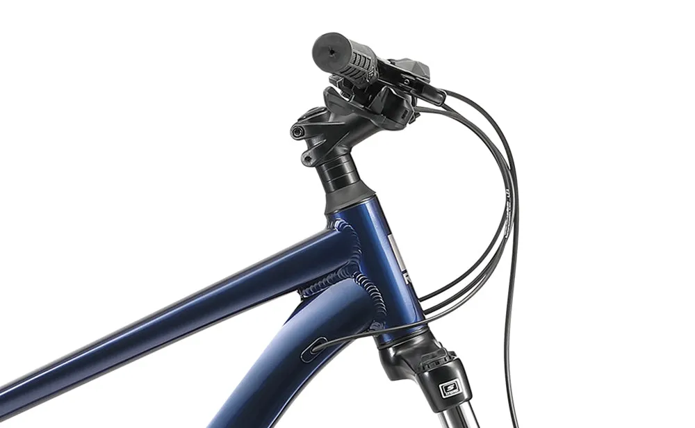 Reid Tract 1 - Mountain Bike