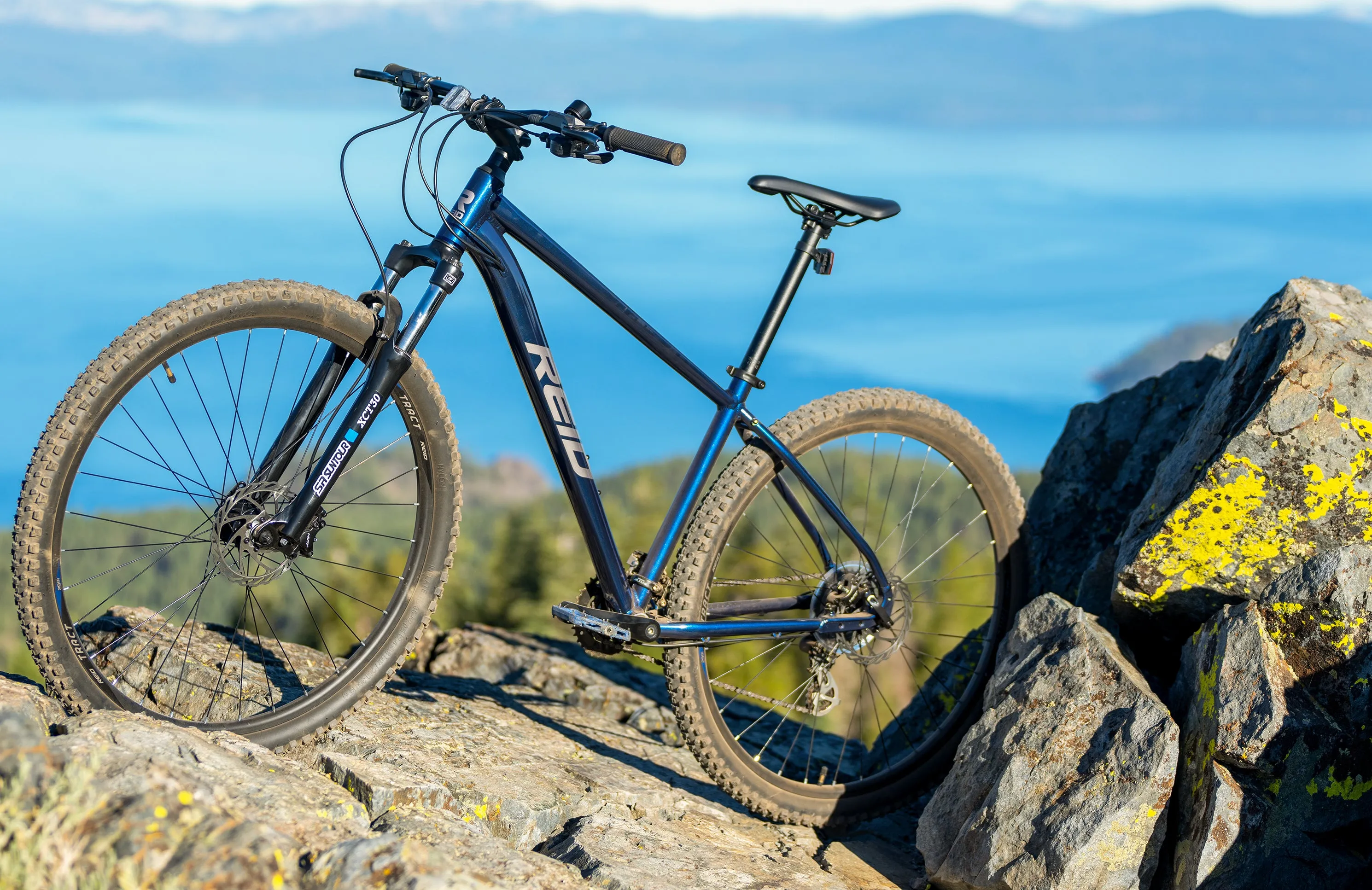 Reid Tract 1 - Mountain Bike