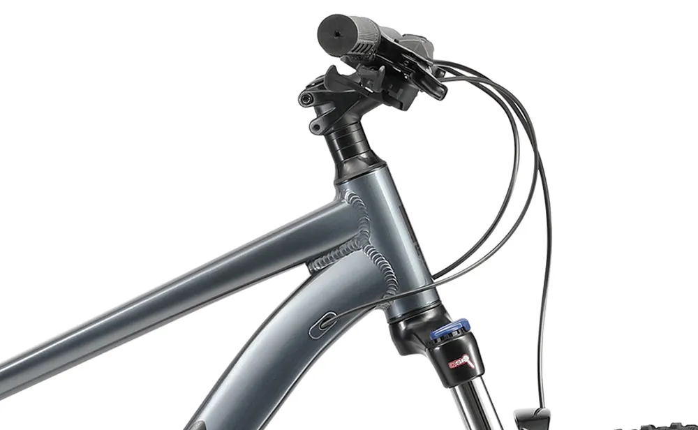 Reid Tract 3 - Mountain Bike