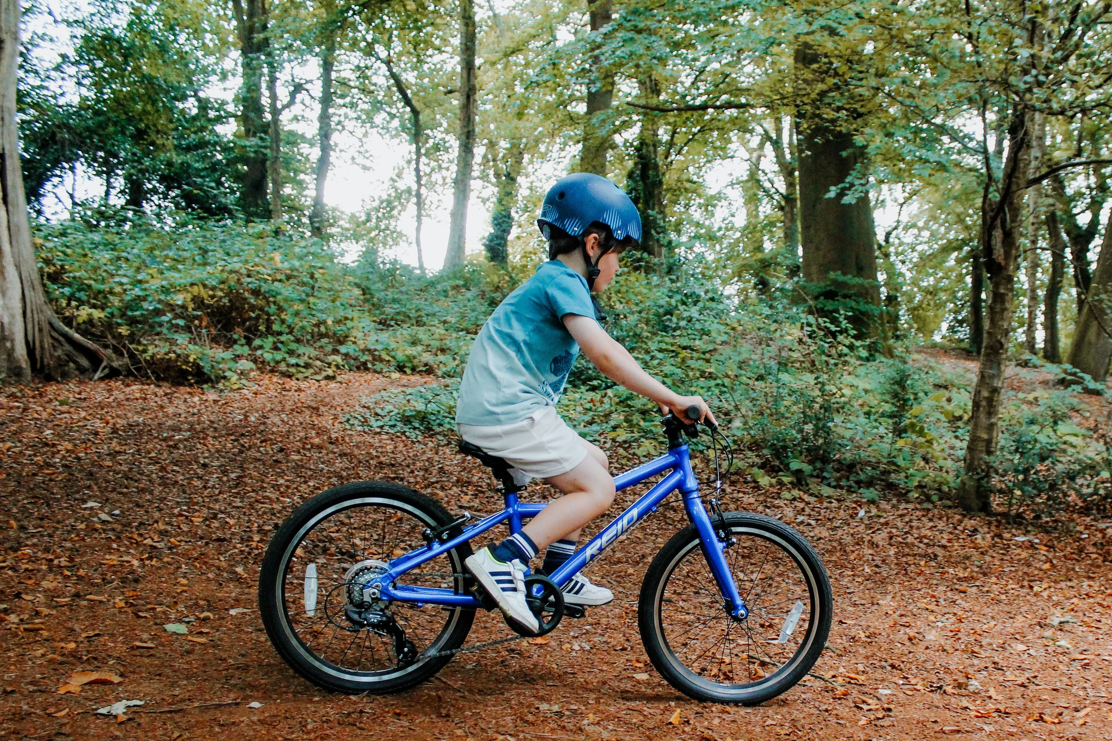 Reid - Viper 20 inch Kids Bike