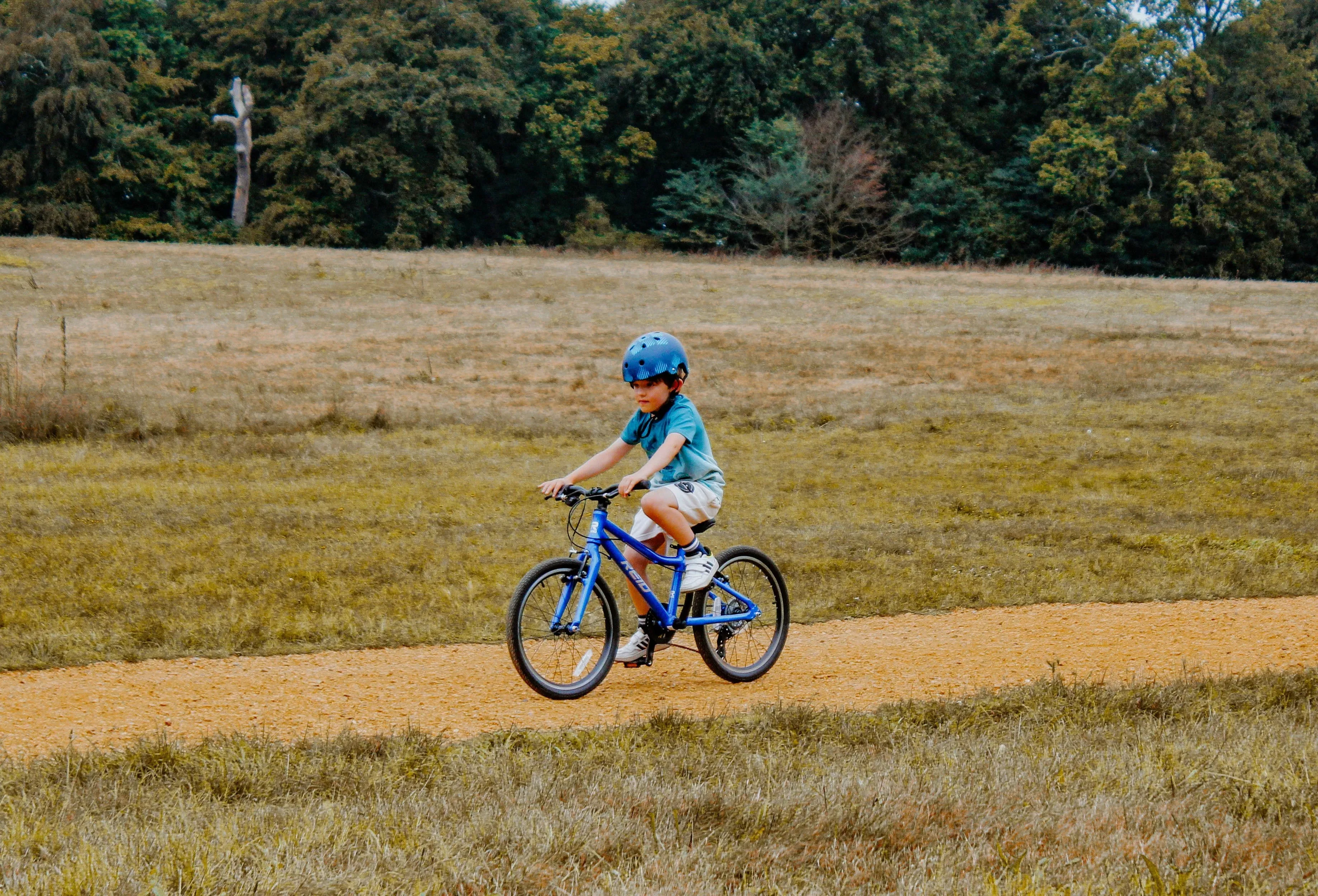 Reid - Viper 20 inch Kids Bike