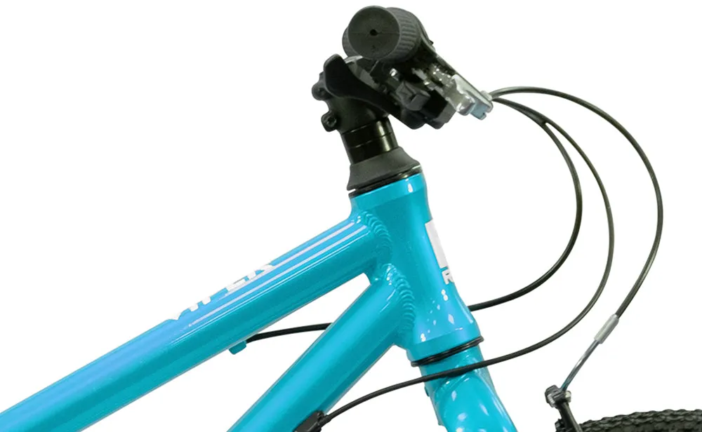 Reid - Viper 20 inch Kids Bike