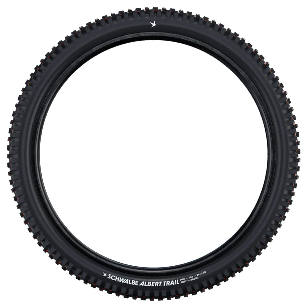 Schwalbe Albert Radial Tyre