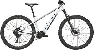 Vitus E-Sentier Hardtail Mountain Bike