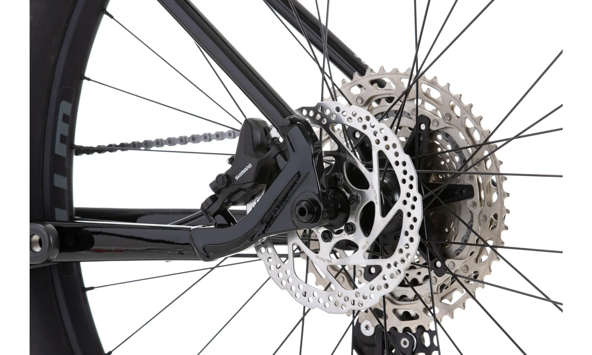 Vitus Rapide 29 VR Mountain Bike
