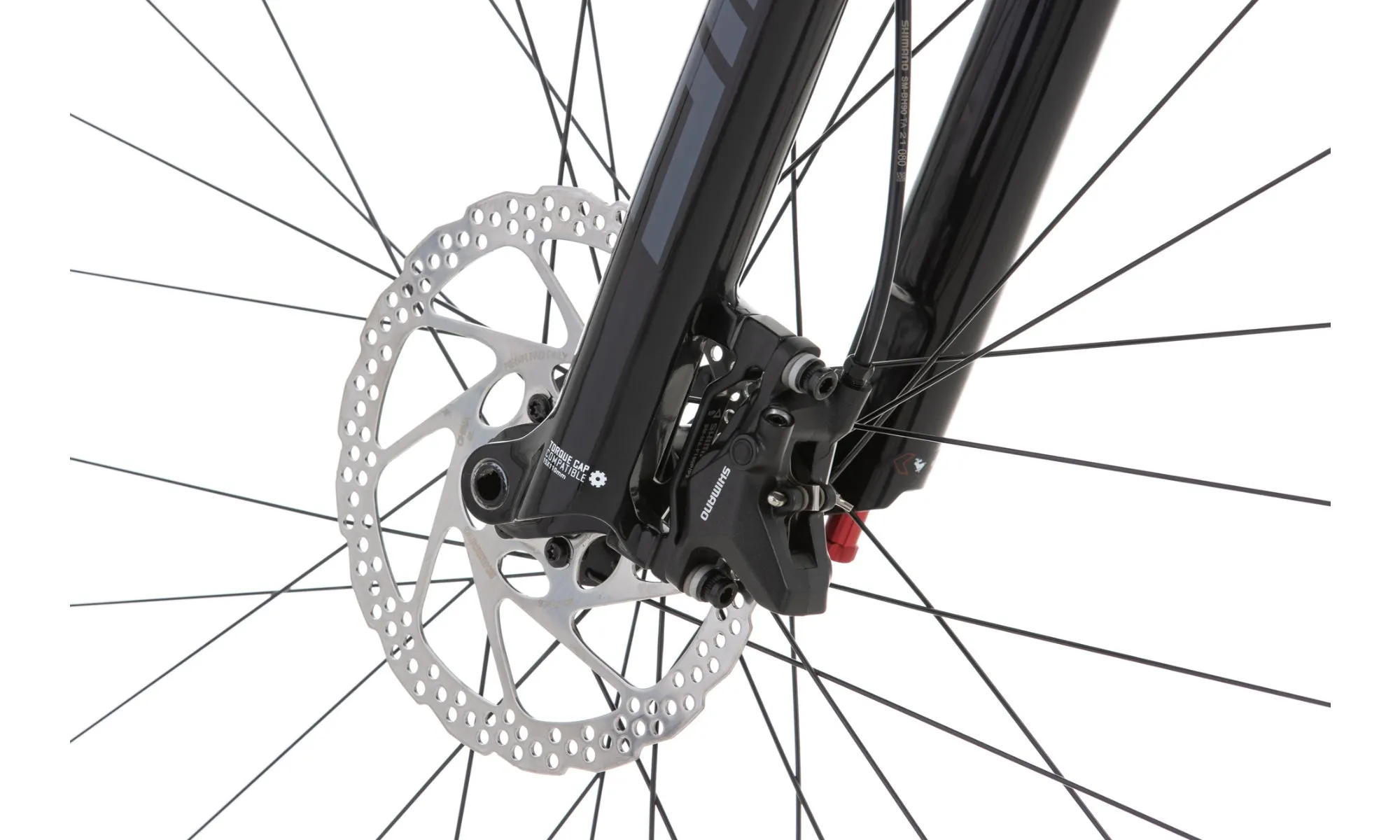 Vitus Rapide 29 VR Mountain Bike