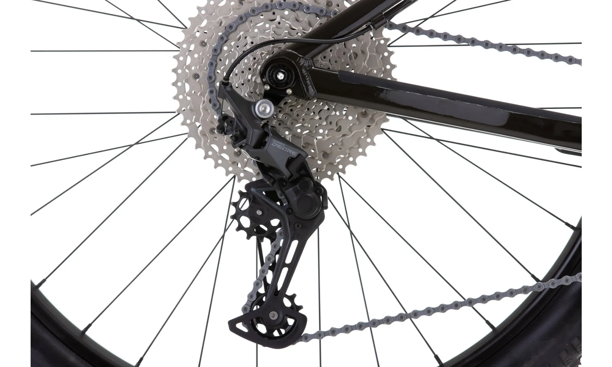 Vitus Sentier 29 VR Mountain Bike